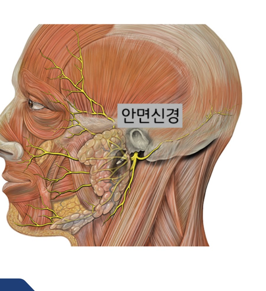 안면마비(구안와사) 클리닉 진료 장면