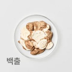한약재 백출
