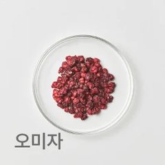 한약재 오미자