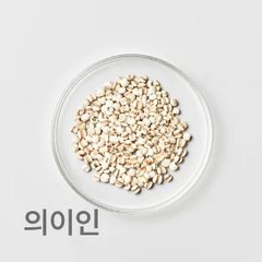 한약재 의이인